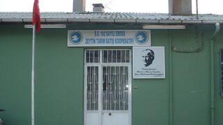 Erdek Zeytin Kooperatifi Ortaklarını Mantara Karşı Uyardı