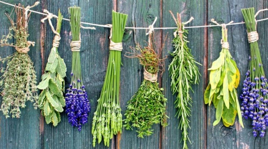 Doğadaki İlaçları Nasıl Kullanmalıyız?