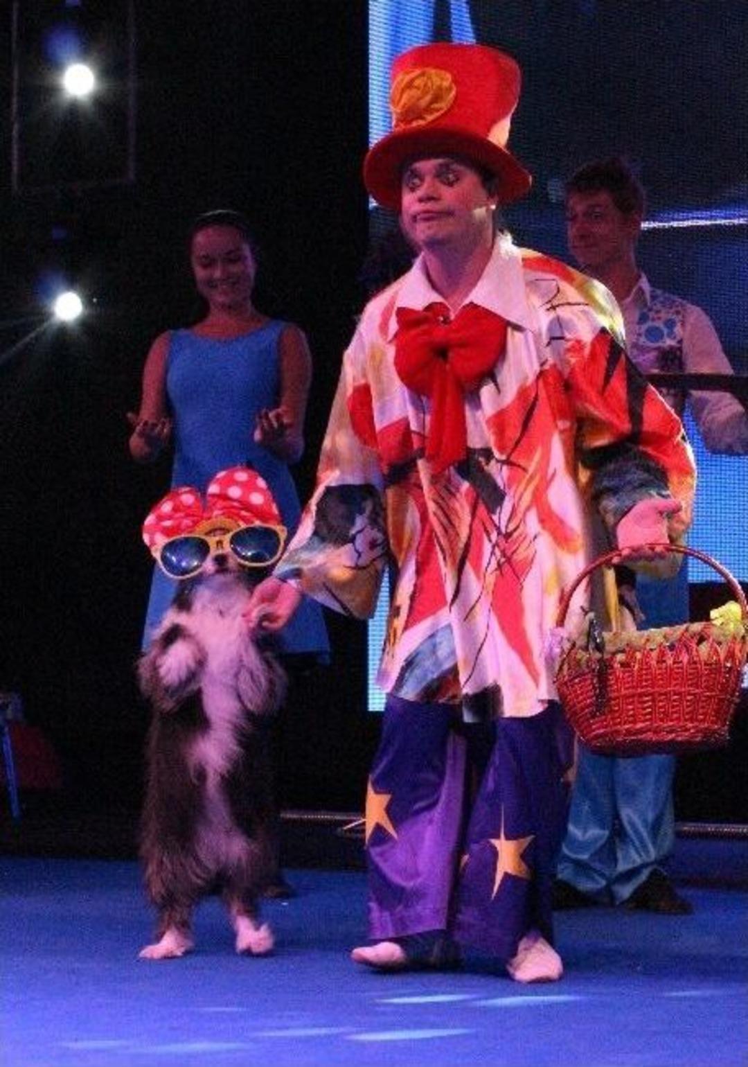 D&uuml;nyaca &Uuml;nl&uuml; Moskova Kuklachev Kedi Tiyatrosu Antalya&rsquo;da