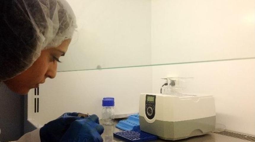 T&uuml;rk Doktorlardan Kısırlığa &Ccedil;ip&rsquo;li Form&uuml;l