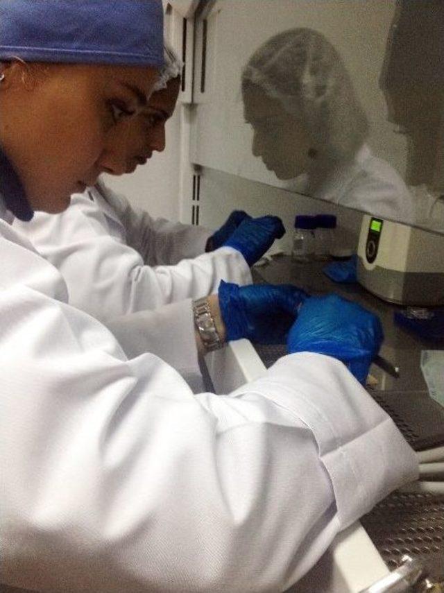 Türk Doktorlardan Kısırlığa Çip’li Formül 1