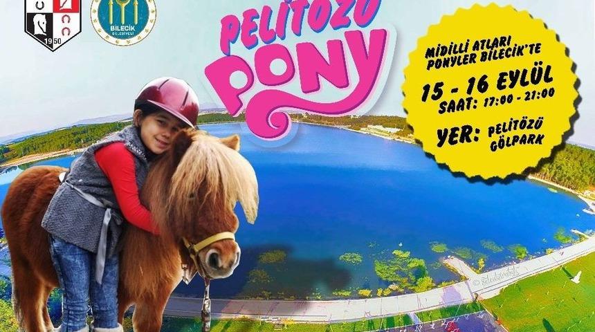 Midilli Atları Bilecikli &Ccedil;ocuklarla Buluşacak