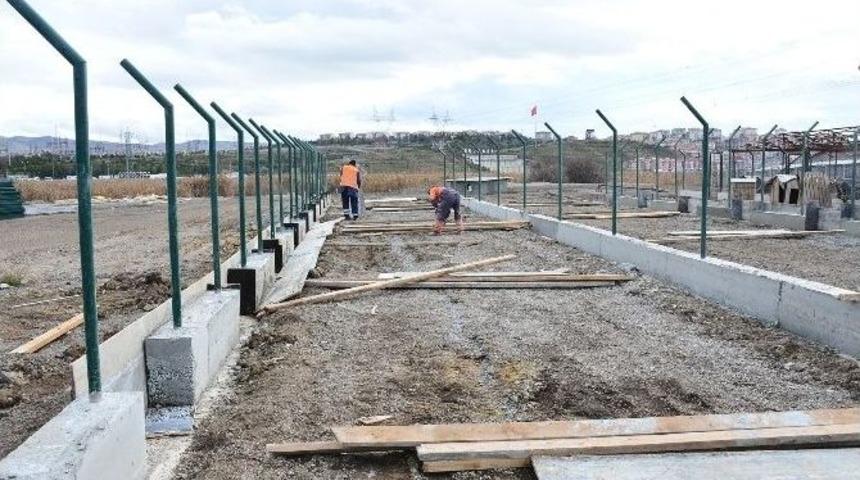 G&ouml;lbaşı Sokak Hayvanları Barınağı&rsquo;na 3 Bin K&ouml;pek Kul&uuml;besi İle 75 Kafes Yapılıyor