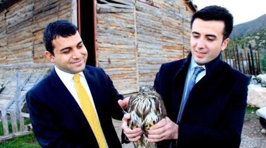 Tedavisi Tamamlanan Şahin Doğaya Bırakıldı