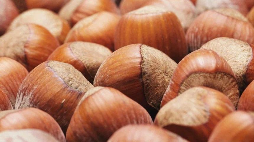 Fındık İhracatından 10 Yılda 20 Milyar Dolar