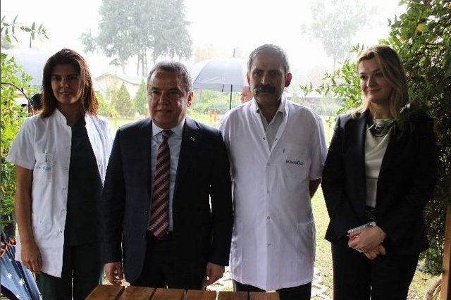 Konyaaltı Belediyesi Bin 800 Sokak Hayvanını Tedavi Etti