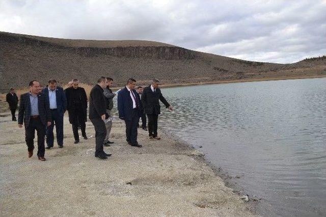 Meclis Nar Gölündeki Balık Ölümlerini İnceledi