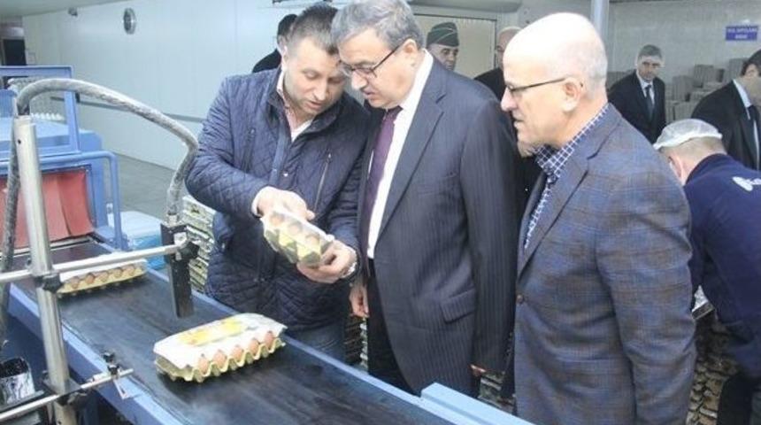 Vali Ali İhsan Su, Kılı&ccedil;lar Yumurta Tesislerini İnceledi