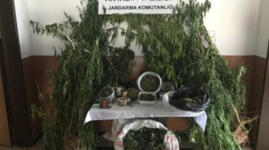 Alanya&rsquo;da 6 Kilo Esrar Ele Ge&ccedil;irildi