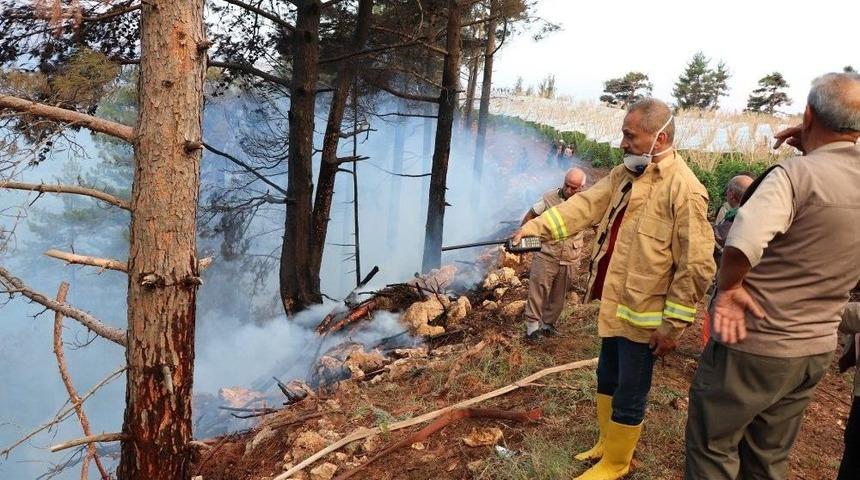 Yıldırım D&uuml;şen Ormanda Yangın &Ccedil;ıktı