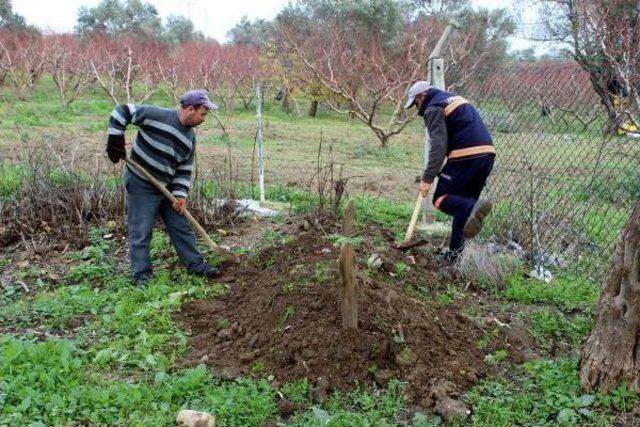 Yol Çalışması Sırasında İnsan Kemikleri Bulundu