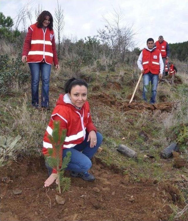  1 Kan, 1 Fidan  Projesi İle Uşak ta 15 Bin Fidan Dikildi 1