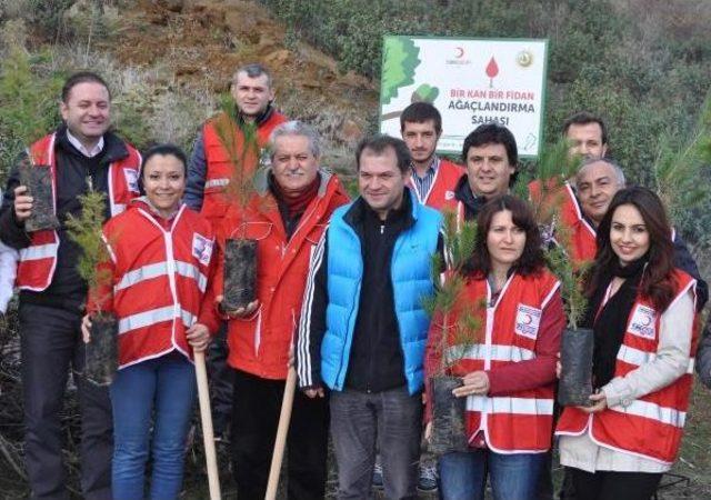  1 Kan, 1 Fidan  Projesi İle Uşak ta 15 Bin Fidan Dikildi 2