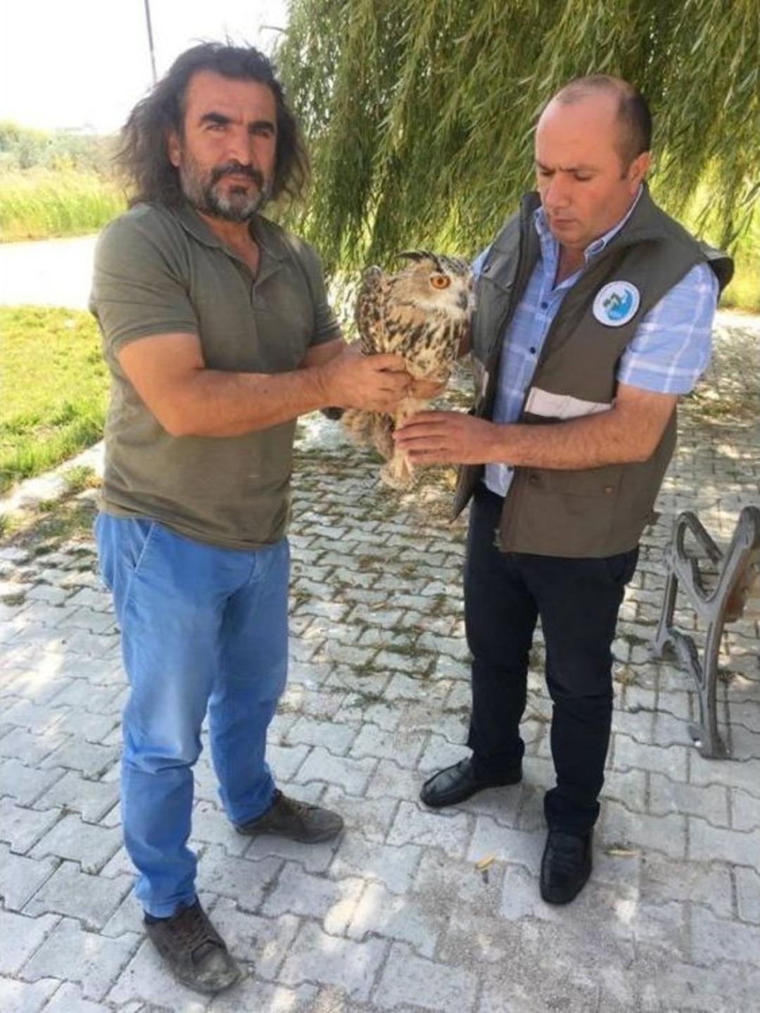 Van&rsquo;da Yaralı Kuşlar Tedavi Altına Alındı