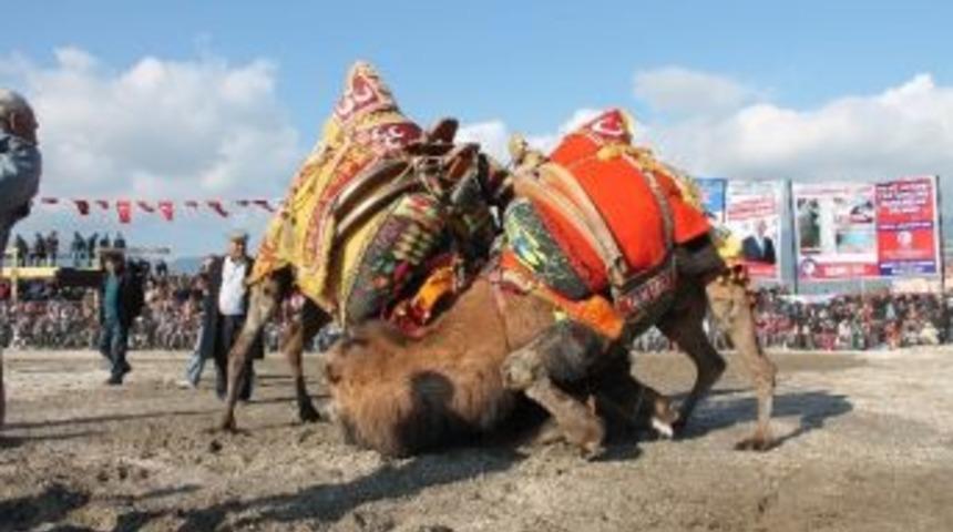 Demre&rsquo;de Y&uuml;ksekokul Yararına G&uuml;reş D&uuml;zenlenecek
