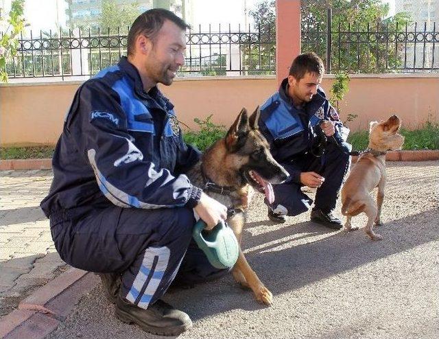 ’narkotim’ Mersin’de Göreve Başladı