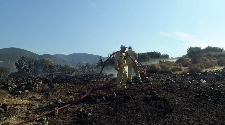 Aliağa&rsquo;da Makilik Alanda Yangın