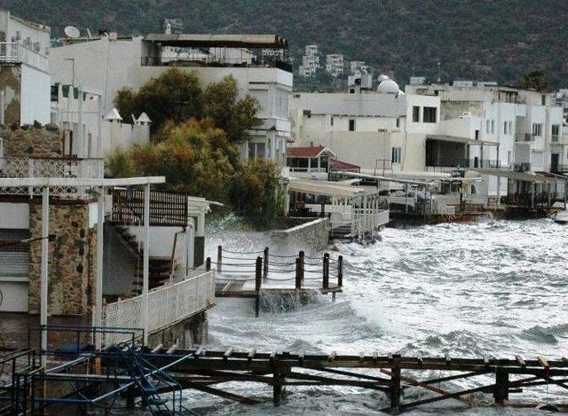 Bodrum’da Fırişka Rüzgarı 2