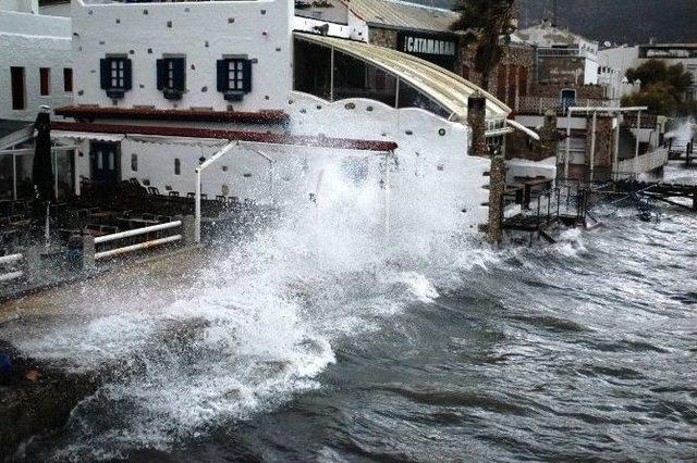 Bodrum’da Fırişka Rüzgarı 1