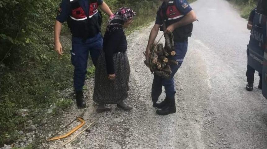 Jandarma, Sırtında Odun Taşıyan Yaşlı Kadına Yardım Etti