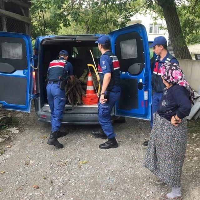 Jandarma, Sırtında Odun Taşıyan Yaşlı Kadına Yardım Etti