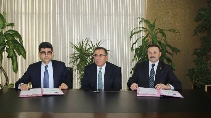 Yırca&rsquo;da Santral İ&ccedil;in 6 Bin Ağa&ccedil; Kesen Firma 60 Bin Fidan Dikecek
