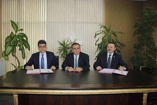 Yırca’da Santral İçin 6 Bin Ağaç Kesen Firma 60 Bin Fidan Dikecek 1
