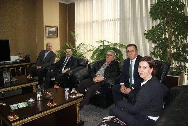 Yırca’da Santral İçin 6 Bin Ağaç Kesen Firma 60 Bin Fidan Dikecek 2