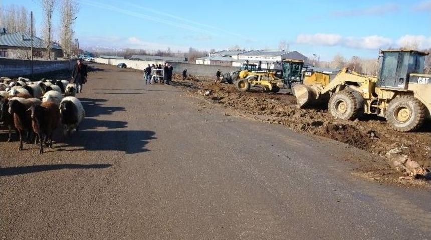 Erciş Belediyesi Saman Pazarı Kuruyor