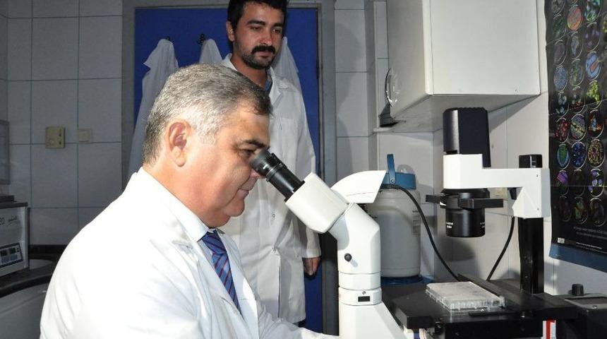 Profes&ouml;rden &rsquo;&ccedil;ay &Uuml;retiminde Bor G&uuml;bresi Kullanılsın&rsquo; &Ouml;nerisi