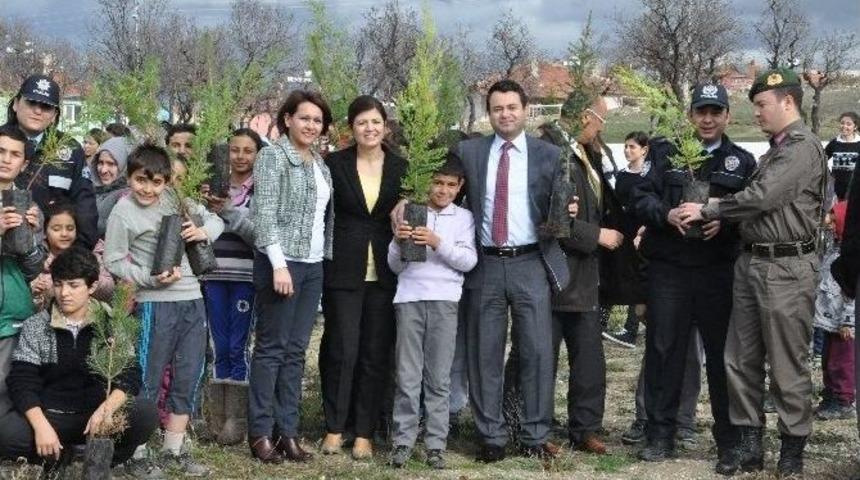 Seyitgazili Minik &Ouml;ğrenciler Yarınları İ&ccedil;in Fidan Diktiler