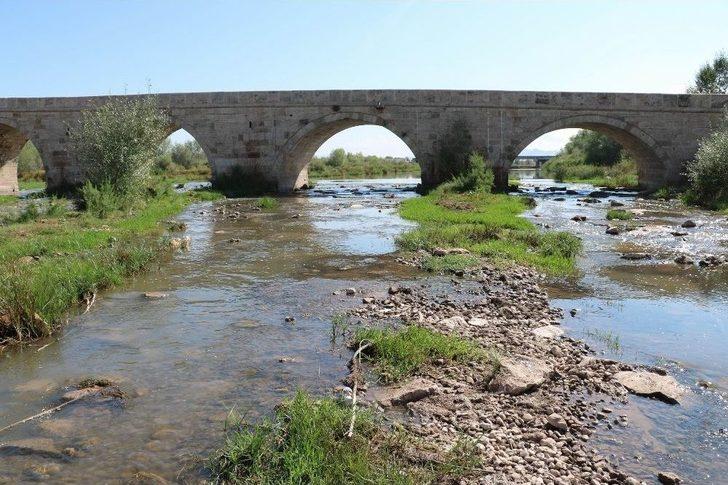 Kızılırmak’ta Balık Ölümleri Korkuttu G4