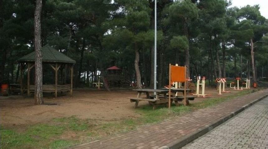 Nil&uuml;fer Atat&uuml;rk Kent Ormanı&rsquo;nı Bırakmak İstemiyor