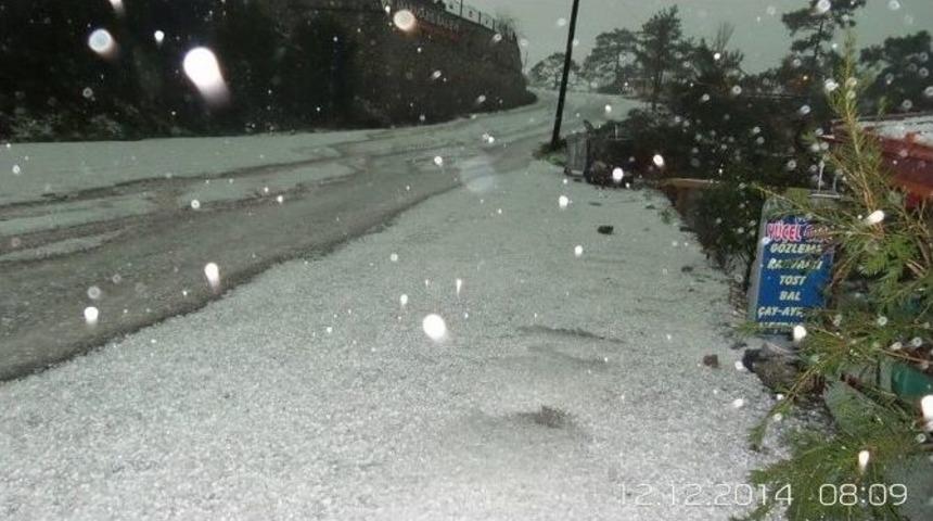 Marmaris Beyaza B&uuml;r&uuml;nd&uuml;