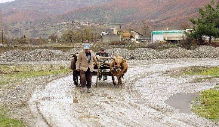 (özel Haber) İki Oğlunu Traktör Kazasında Kaybeden Baba, Teknolojiyi Reddediyor G1
