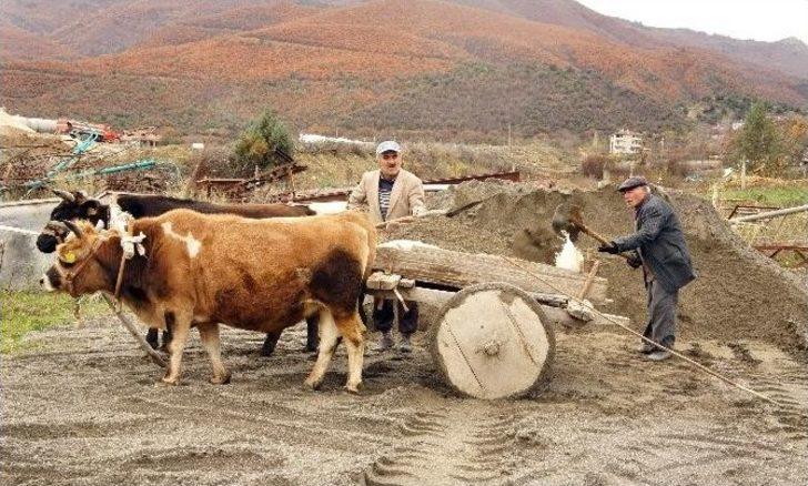 (özel Haber) İki Oğlunu Traktör Kazasında Kaybeden Baba, Teknolojiyi Reddediyor G3
