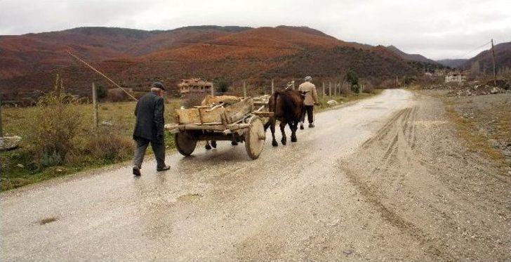(özel Haber) İki Oğlunu Traktör Kazasında Kaybeden Baba, Teknolojiyi Reddediyor G4