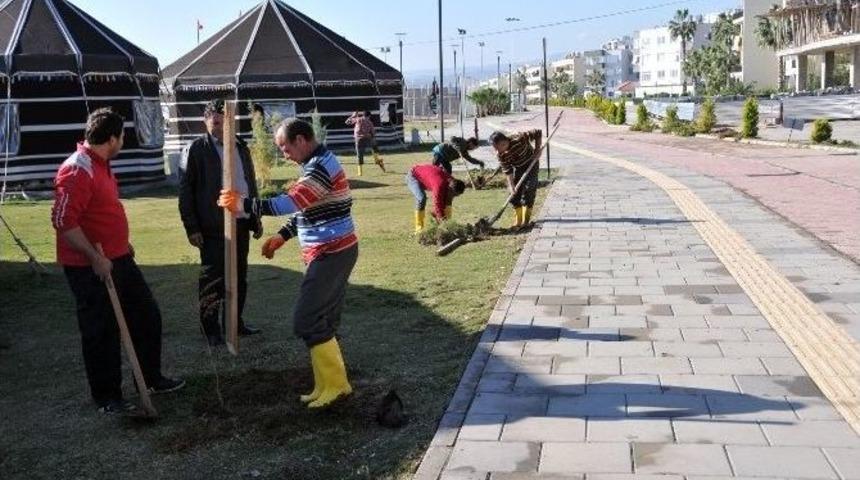 Erdemli’de Yeşillendirme Çalışmaları