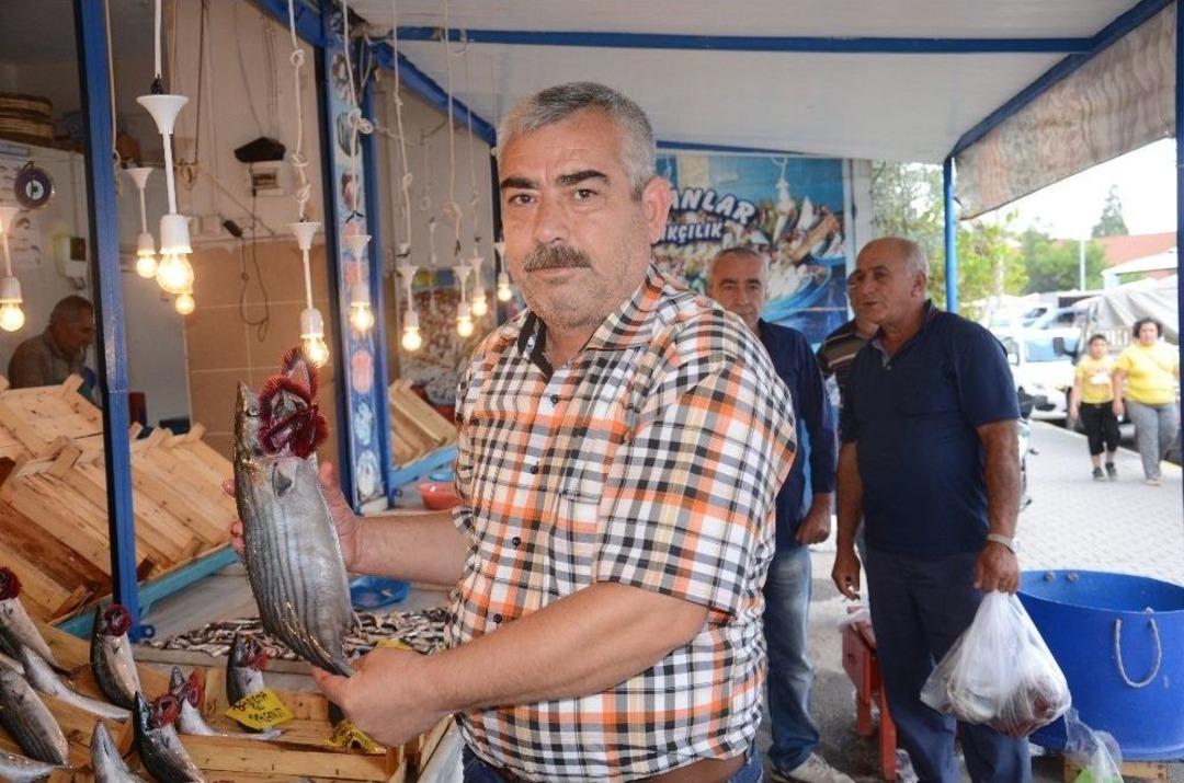 Balık&ccedil;ılar Soğuk Havayı Bekliyor