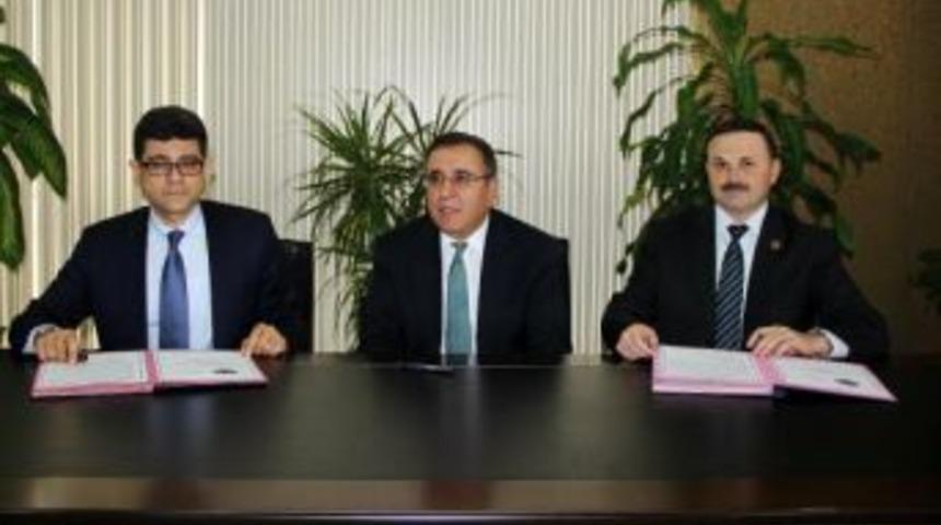 Kolin Grubu Soma'da 60 Bin Fidan Dikecek