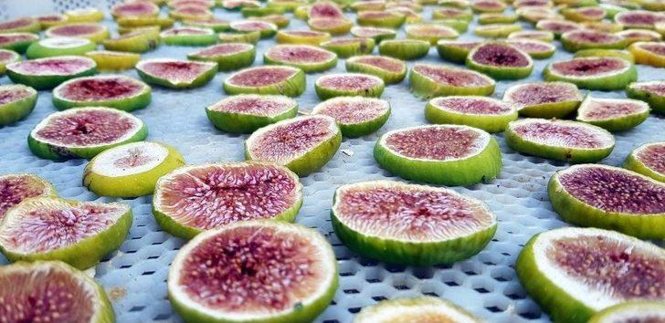 Yeğenleri İçin Üretti, Şimdi Dünyaya Satıyor G5