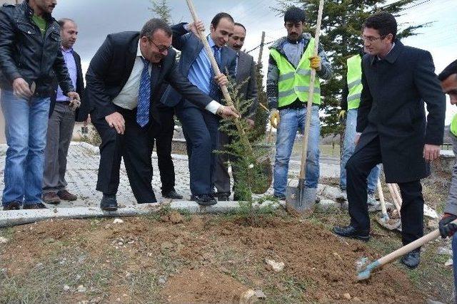 Ulukışla’da İnsan Hakları Günü Kutlandı