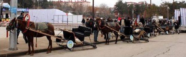 Erzurum'da Karsız Kış Festali