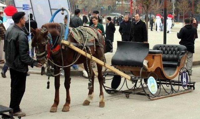 Erzurum'da Karsız Kış Festali