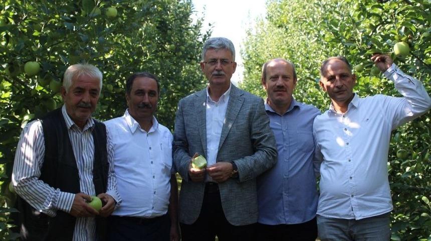 26. Yeşil İhsaniye Elma Festivali Başladı