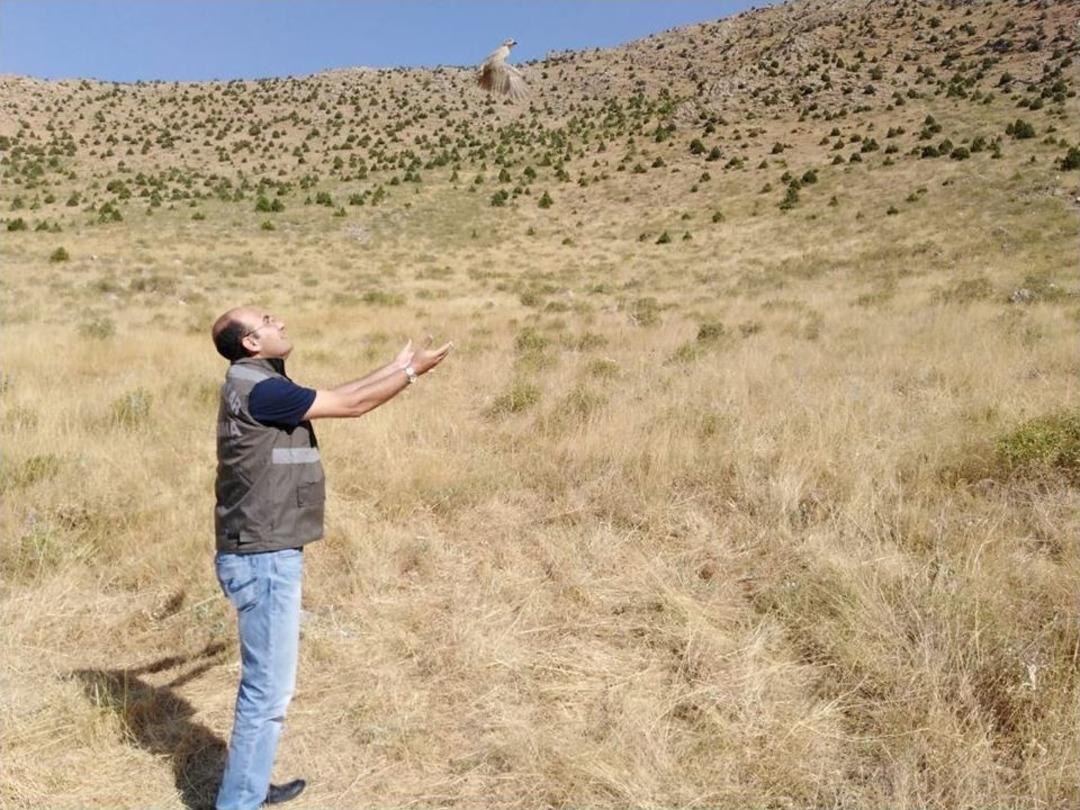 Kafes Avcılarına B&uuml;y&uuml;k Ceza