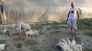 (özel) İnsanlardan Sıkıldı Hobi Çiftliği Kurdu