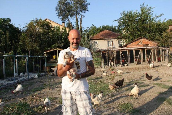 (özel) İnsanlardan Sıkıldı Hobi Çiftliği Kurdu G1