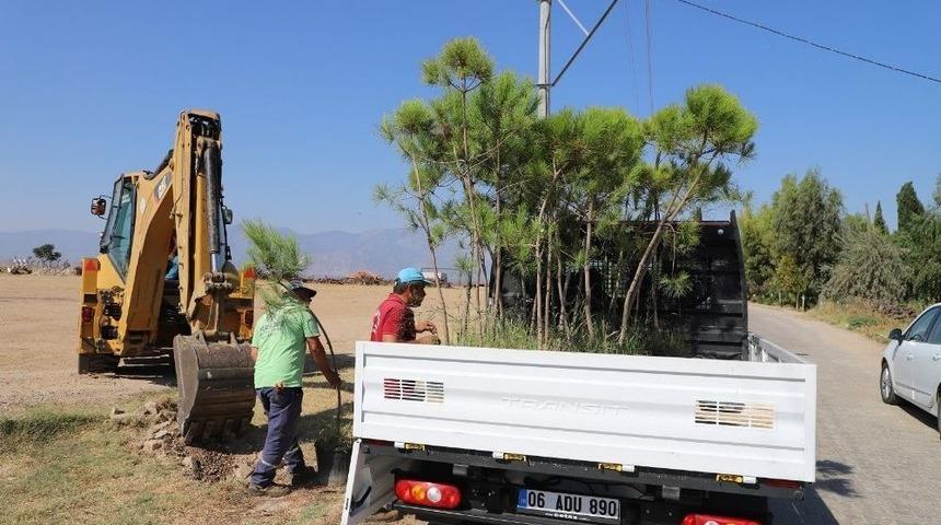 Turgutlu&rsquo;nın Kırsal Mahalleleri Ağa&ccedil;landırılıyor