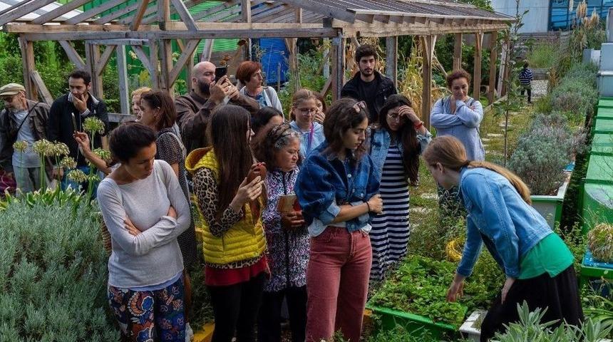 Plazalar Arasında 180 Kilo Ürün Hasat Edildi